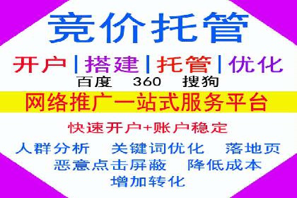 某科技公司的信息流广告投放策略与效果评估